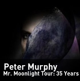 Recommended: Peter Murphy ~ Live Performance ~ June 9th