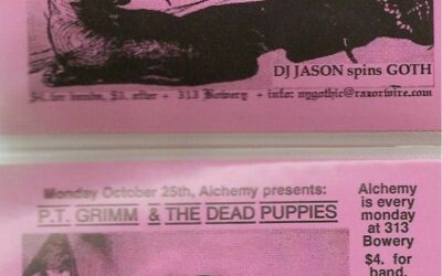 Alchemy / I Will I / Nekromantic Sunshine / P.T. Grimm & the Dead Puppies (2 passes)